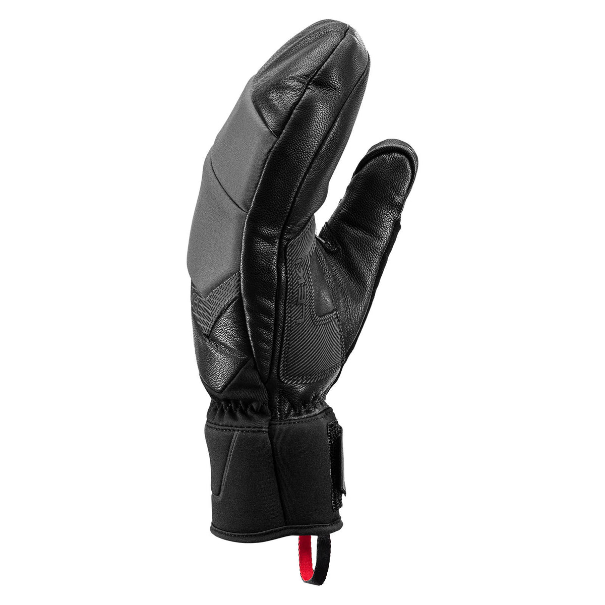 Griffin Base 3D Mitten