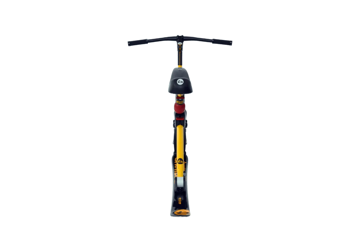 Snowbike C6